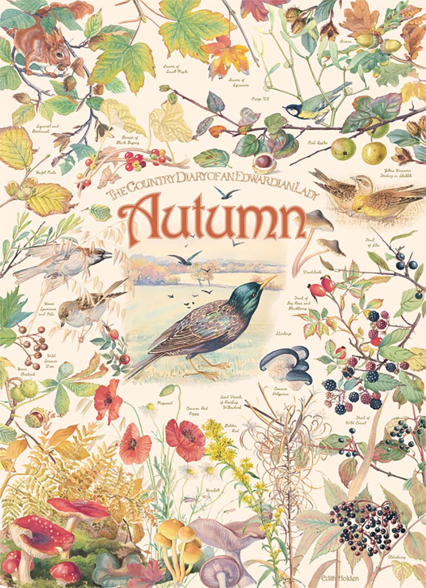 Cobble Hill 1000 Palan Palapeli Country Diary - Autumn