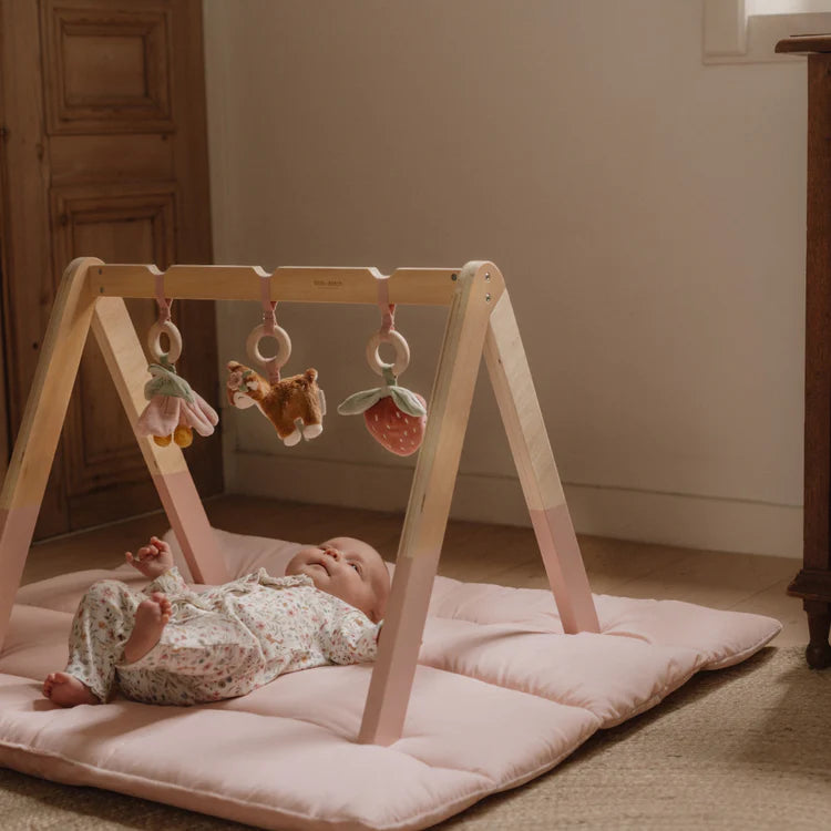 Little Dutch Baby Gym/ Jumppakaari Fairy Garden