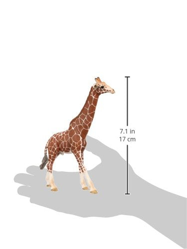 Schleich Kirahvi uros 14749