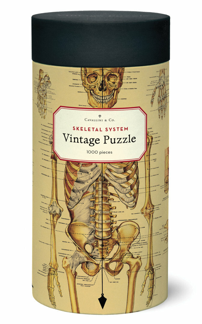 Cavallini & Co. Vintage Puzzle 1000 palaa Skeletal System