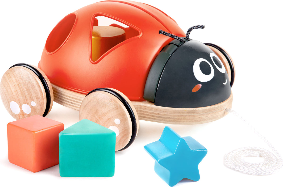 Hape Vauvalelu Lajitteluleppäkerttu