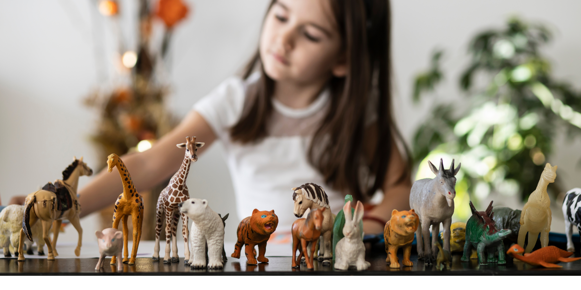 Schleich