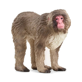 Schleich 14871 Japaninmakaki