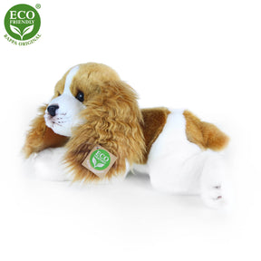 Rappa Eco Friendly Cavalier Kingcharlesinspanieli Pehmolelu 30cm