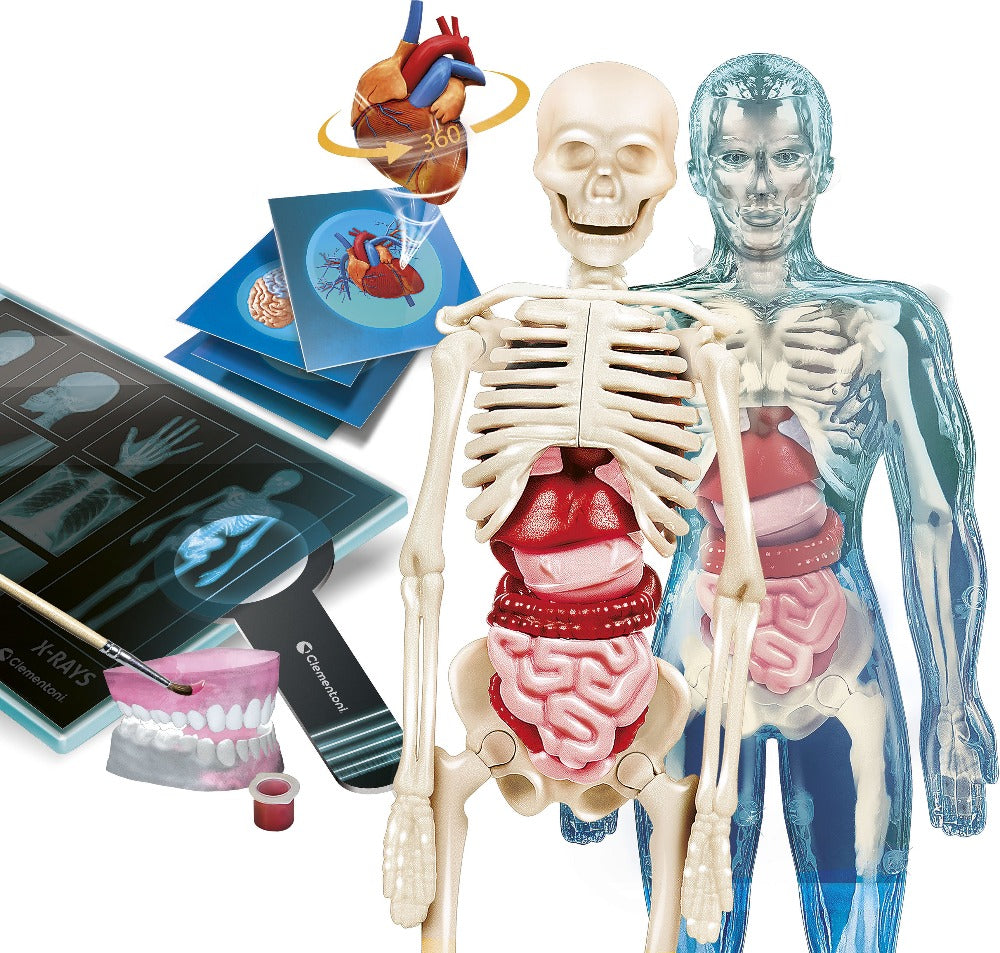Clementoni Super Anatomy Setti