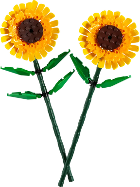 LEGO Classic 40524 Auringonkukat