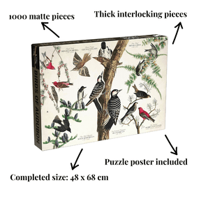 Penny Puzzle Birds of Audubon 1000 Palan Vintage Palapeli