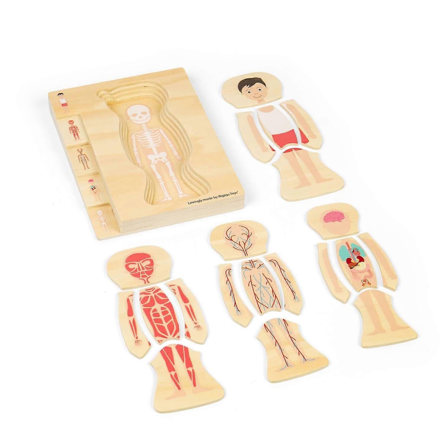 Bigjigs Puinen Palapeli Ihmisen Anatomia Poika
