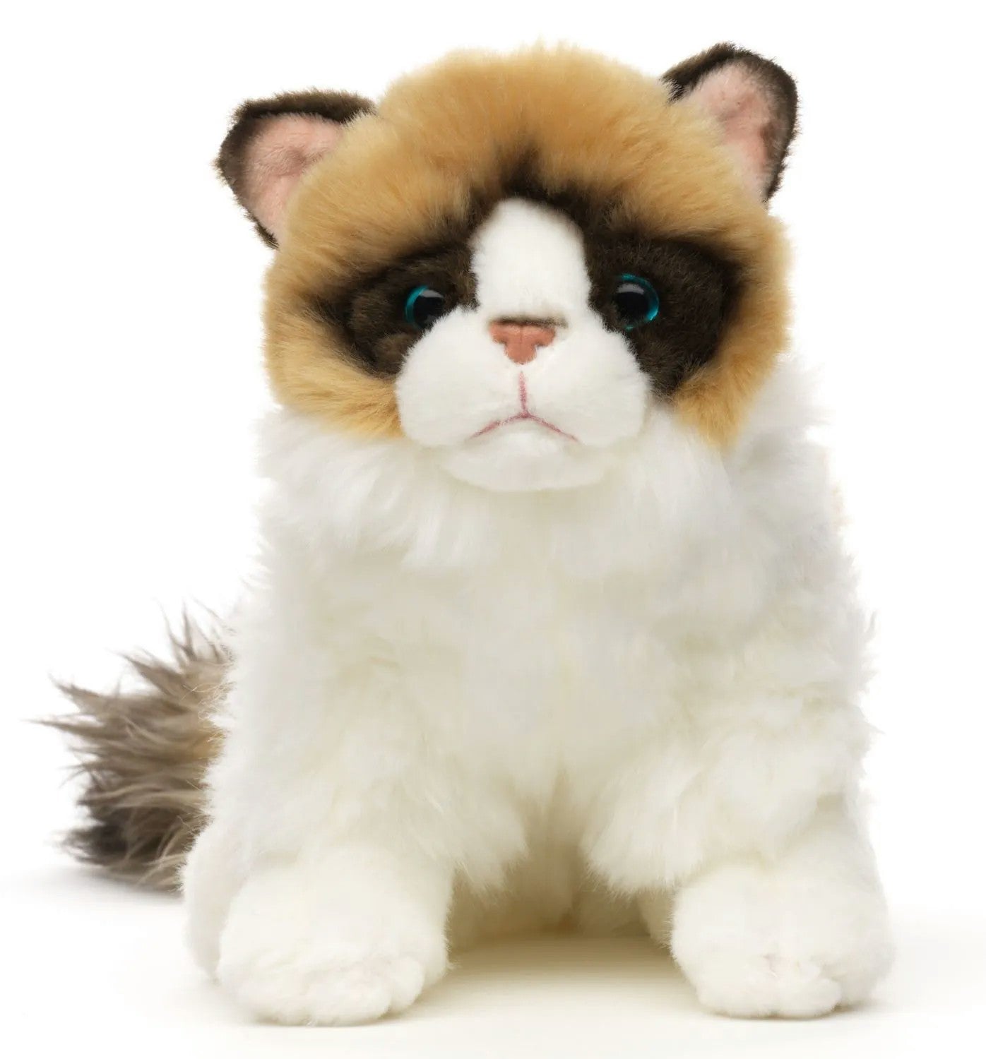 Kissa Ragdoll Pehmolelu 23 cm