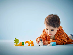 LEGO Duplo 10442 Luonnoneläinperheet: Pingviinit ja Leijonat
