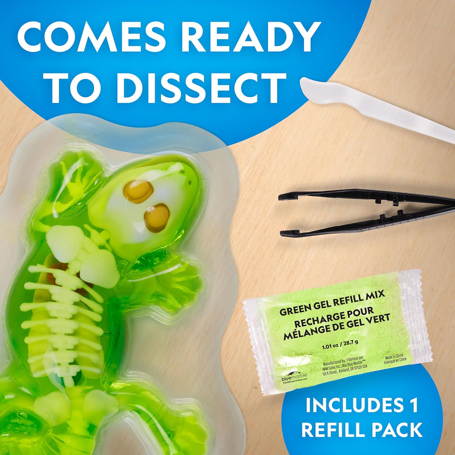 National Geographic Disection Lab Gecko 