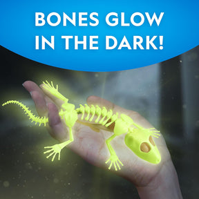 National Geographic Disection Lab Gecko 