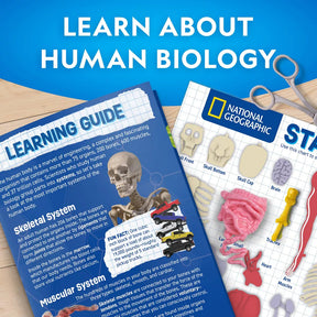 National Geographic Human Body Pimeässä Hohtava Ihmiskeho 32 osaa