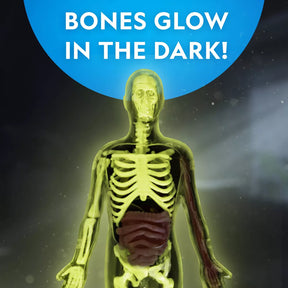 National Geographic Human Body Pimeässä Hohtava Ihmiskeho 32 osaa
