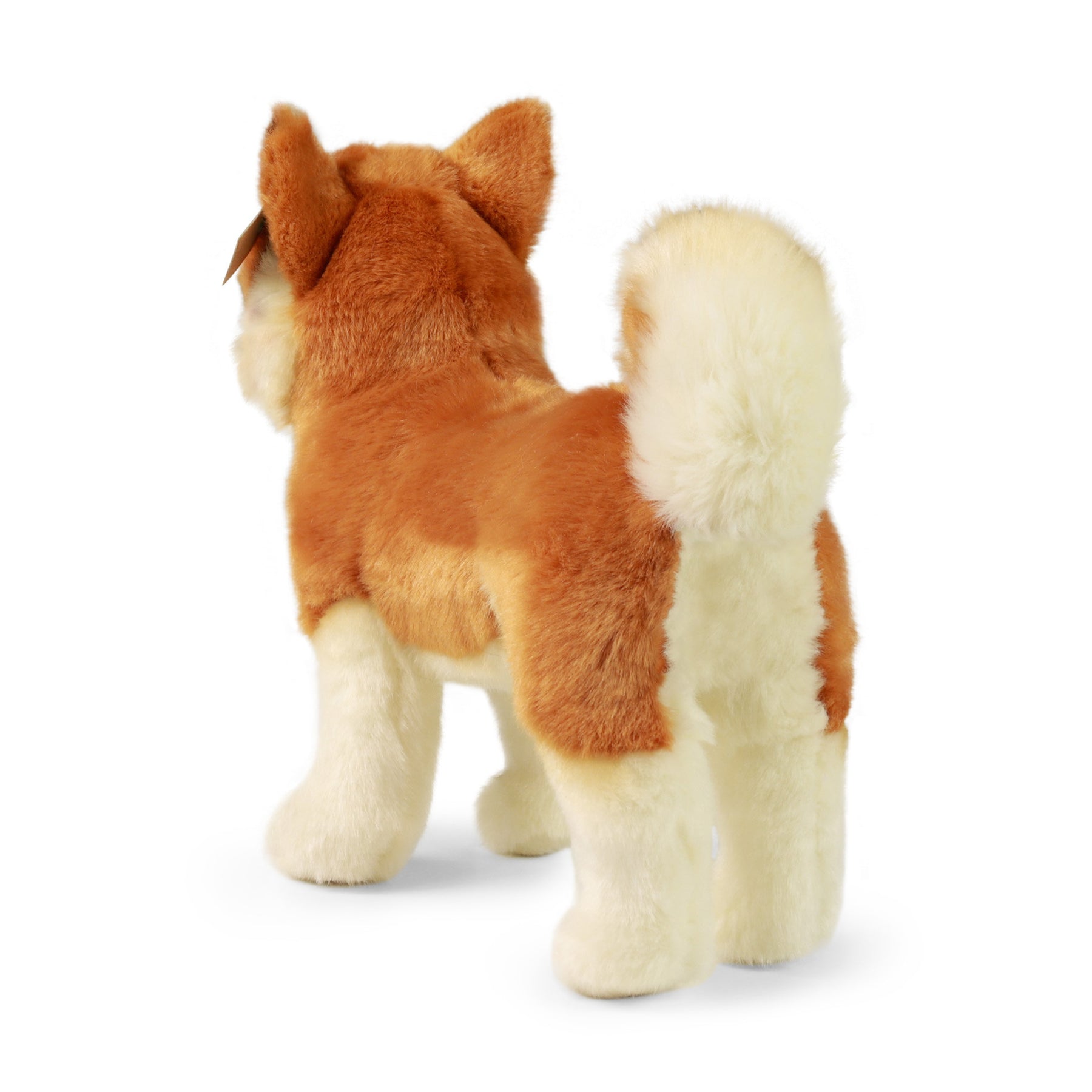 Rappa Eco Friendly Japanilainen Pystykorva 30 cm