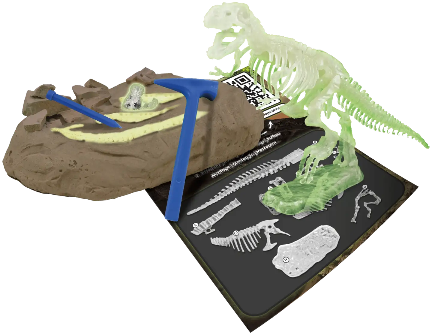 Science4You Tyrannosaurus Rex Glow In The Dark Tiedesetti