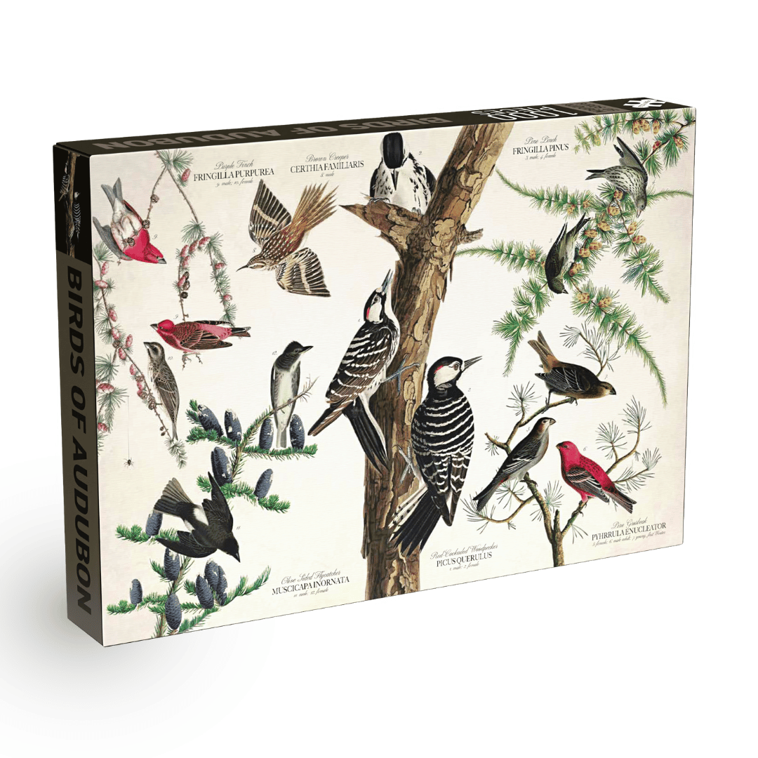 Penny Puzzle Birds of Audubon 1000 Palan Vintage Palapeli