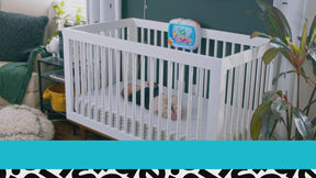 Baby Einstein Ocean Explorers Sea Dream Soother Akvaariosoittorasia Vaaleanpunainen