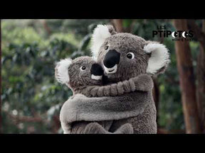 Les Ptipotos Koalaemo ja Poikanen Pehmolelu 34cm