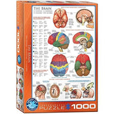 Eurographics 1000 Palan Palapeli The Brain