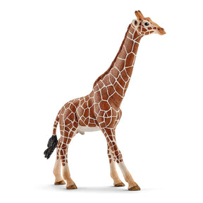Schleich Kirahvi uros 14749