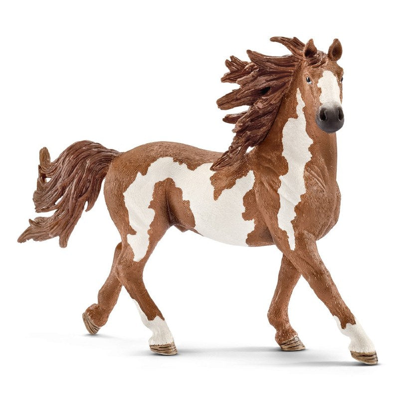 Schleich  Pinto, ori 13794