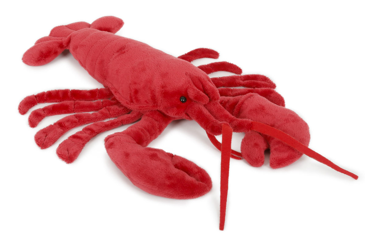 Rapu 30cm