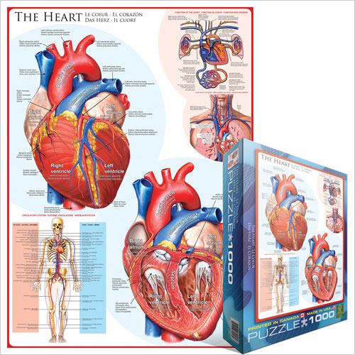 Eurographics 1000 Palan Palapeli The Heart