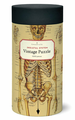 Cavallini & Co. Vintage Puzzle 1000 palaa Skeletal System