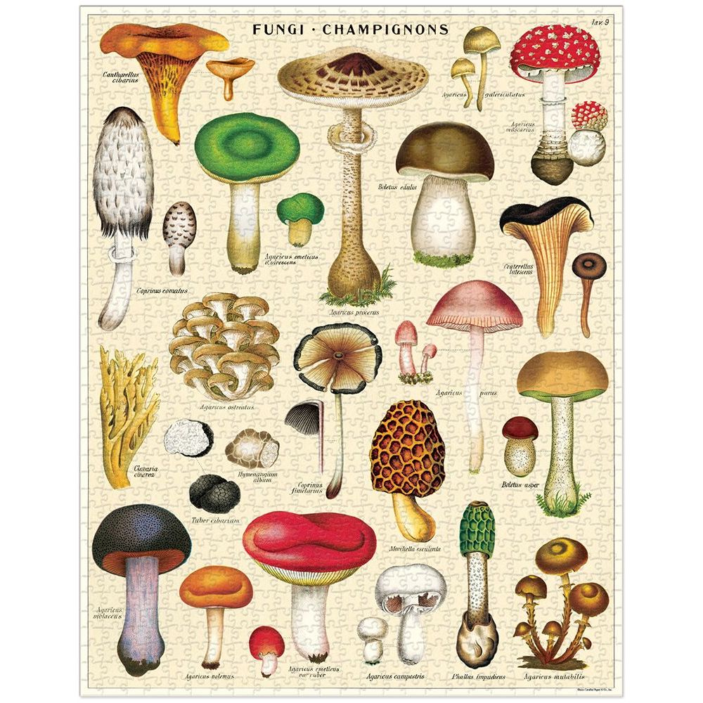 Cavallini & Co. Vintage Puzzle 1000 palaa Mushroom