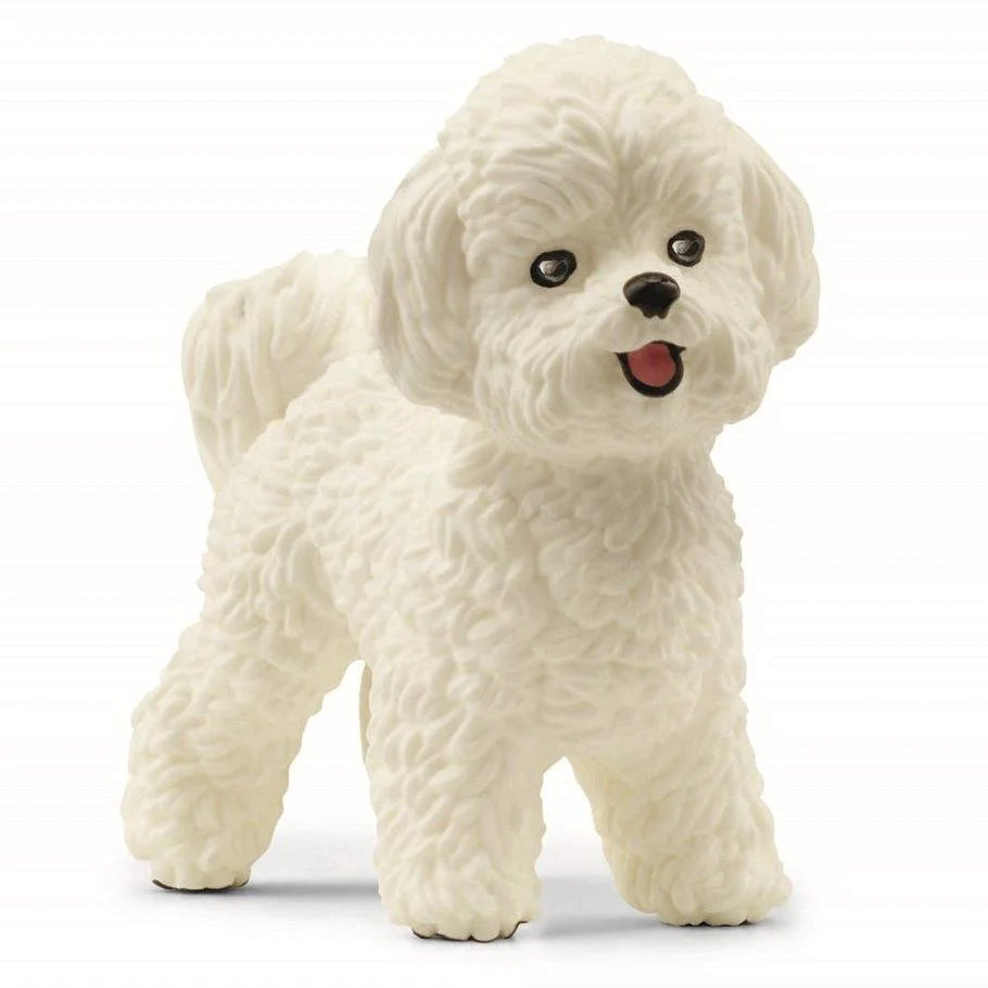 Schleich Bichon Frisé